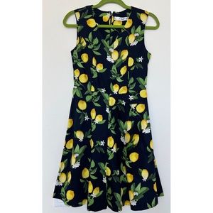 Chetta B Navy Floral Lemon Print Fit and Flare Dress